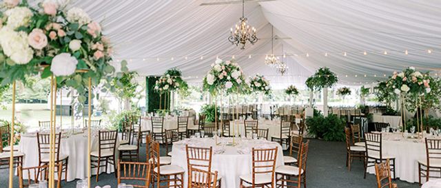 Featured photo from Meadow Tent