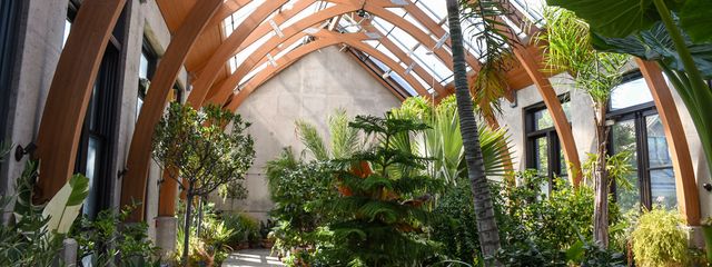 Featured photo from Limonaia Conservatory