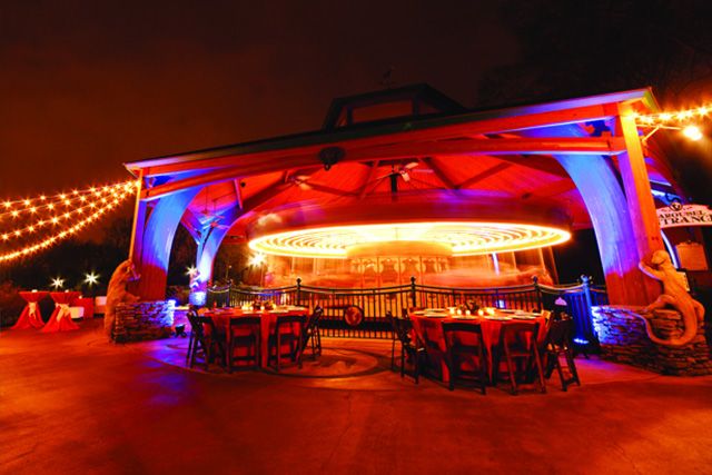 Featured photo from Wild Animal Carousel