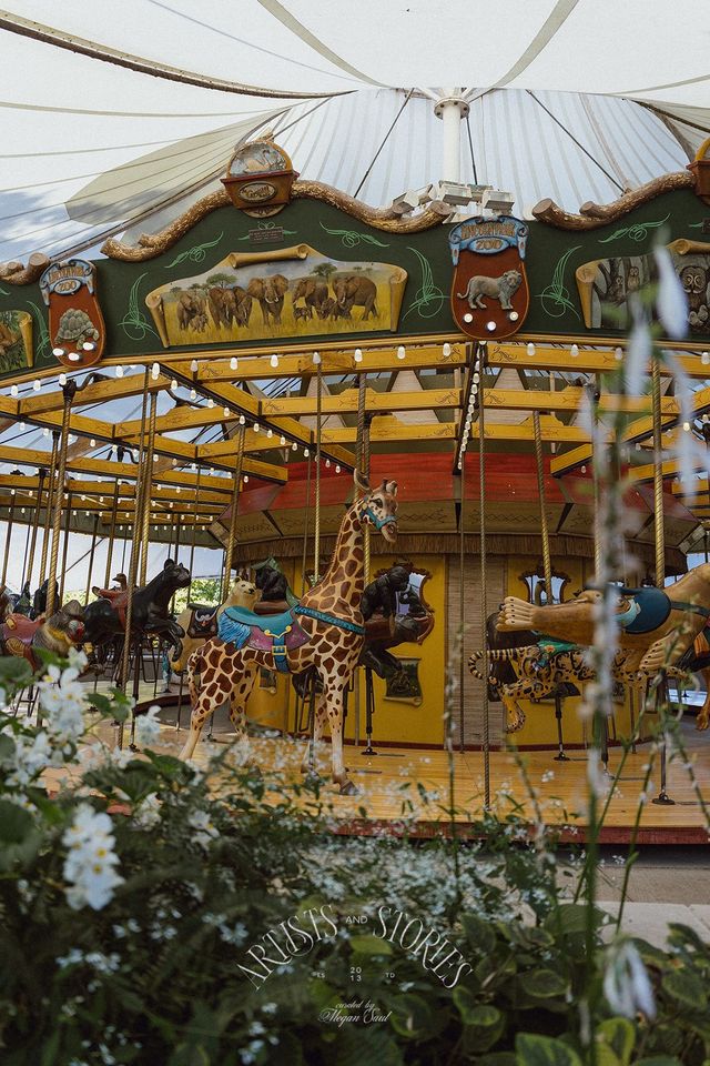 Featured photo from Zoo Wedding!