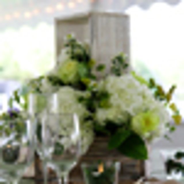 Featured photo from Outdoor Tent