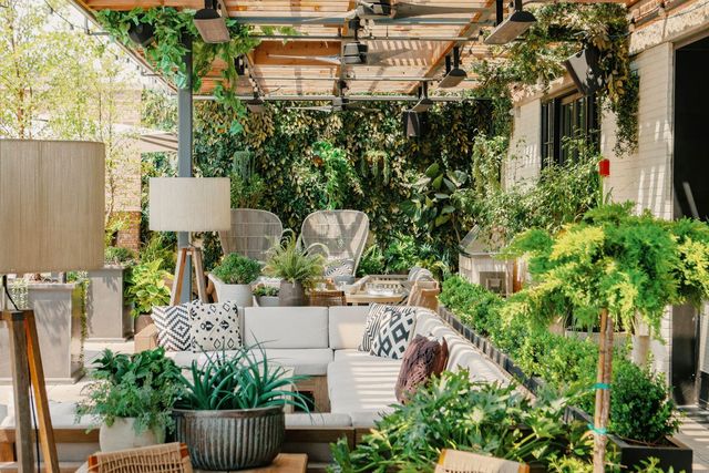 Featured photo from West Half of Aba's Rooftop