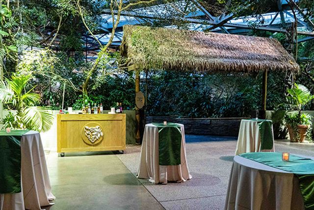 Featured photo from Tropics Plaza & Trail