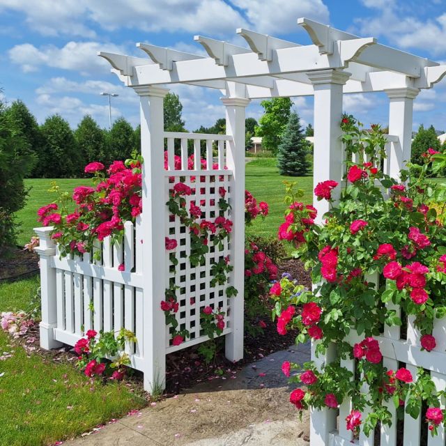 Featured photo from Ceremonial Garden