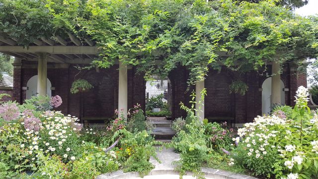 Featured photo from Full Garden
