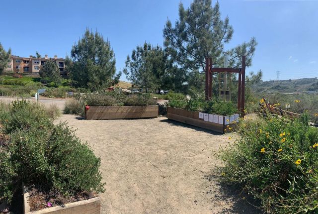 Featured photo from Maple's Place Pollinator Garden