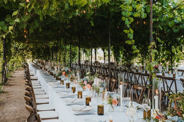 Featured photo from Grape Arbor