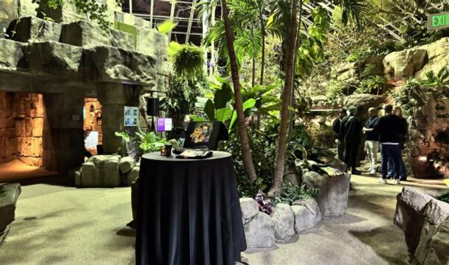 Featured photo from Tropical Discovery
