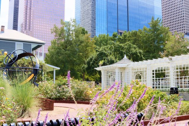 Featured photo from Staiti Garden