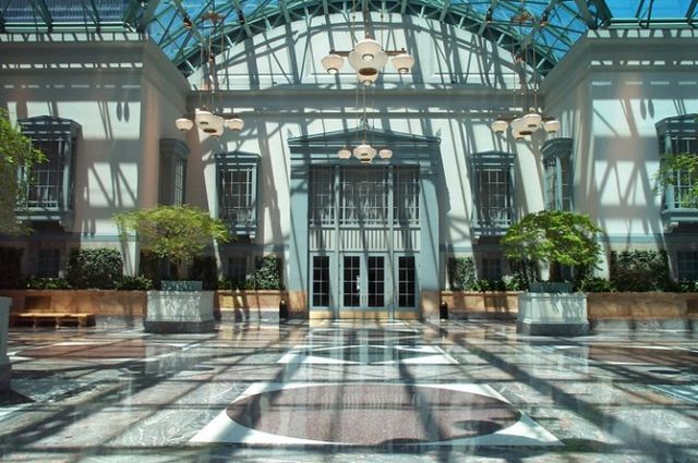 Featured photo from Winter Garden