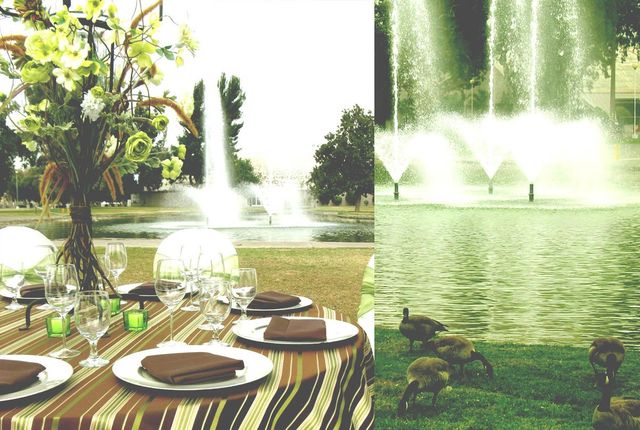 Featured photo from Lagoon