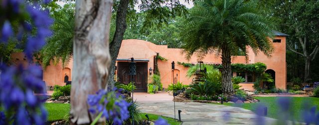 Featured photo from Agave Road