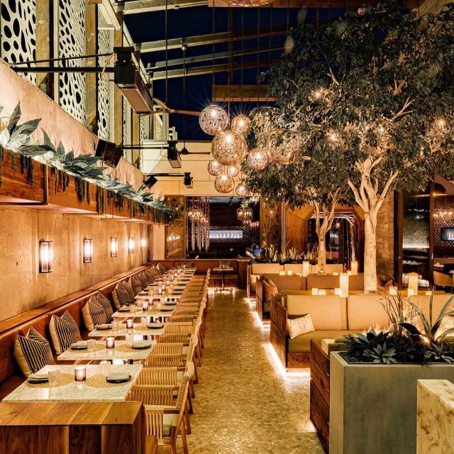 Featured photo from Patio