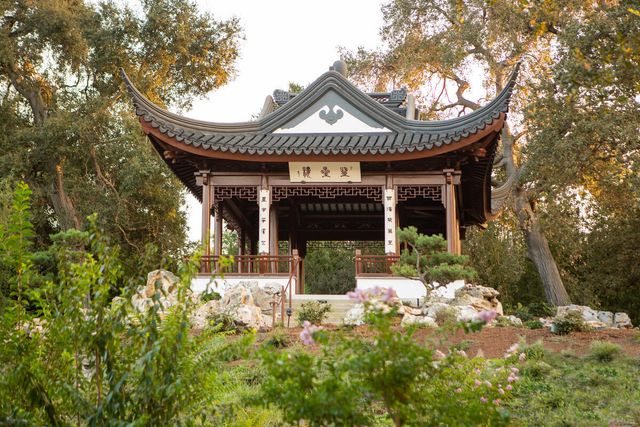 Featured photo from Chinese Garden