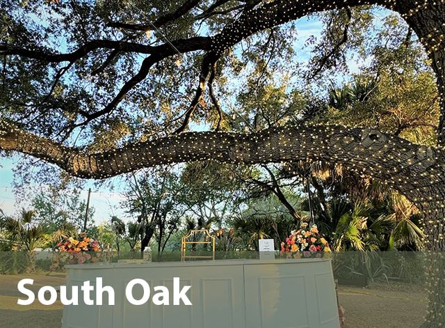 Featured photo from South Oak