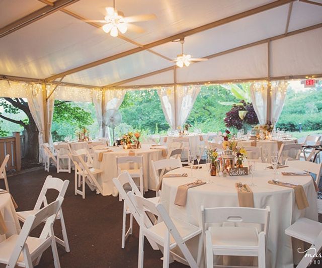 Featured photo from Widener Tent