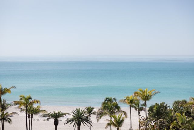 Featured photo from A Winter Wedding of Blue and White Elegance, Set Against the Serene Luxury of the Florida Shoreline