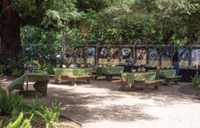 Featured photo from Redwood Grove