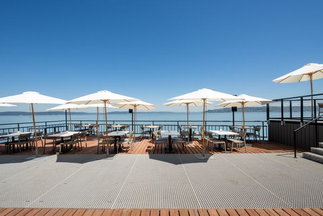 Featured photo from Lower Patio
