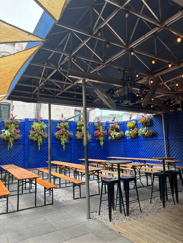 Featured photo from Back Garden