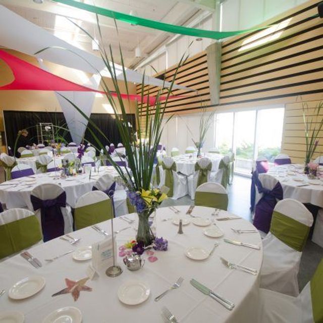 Featured photo from Berglund Wright Room