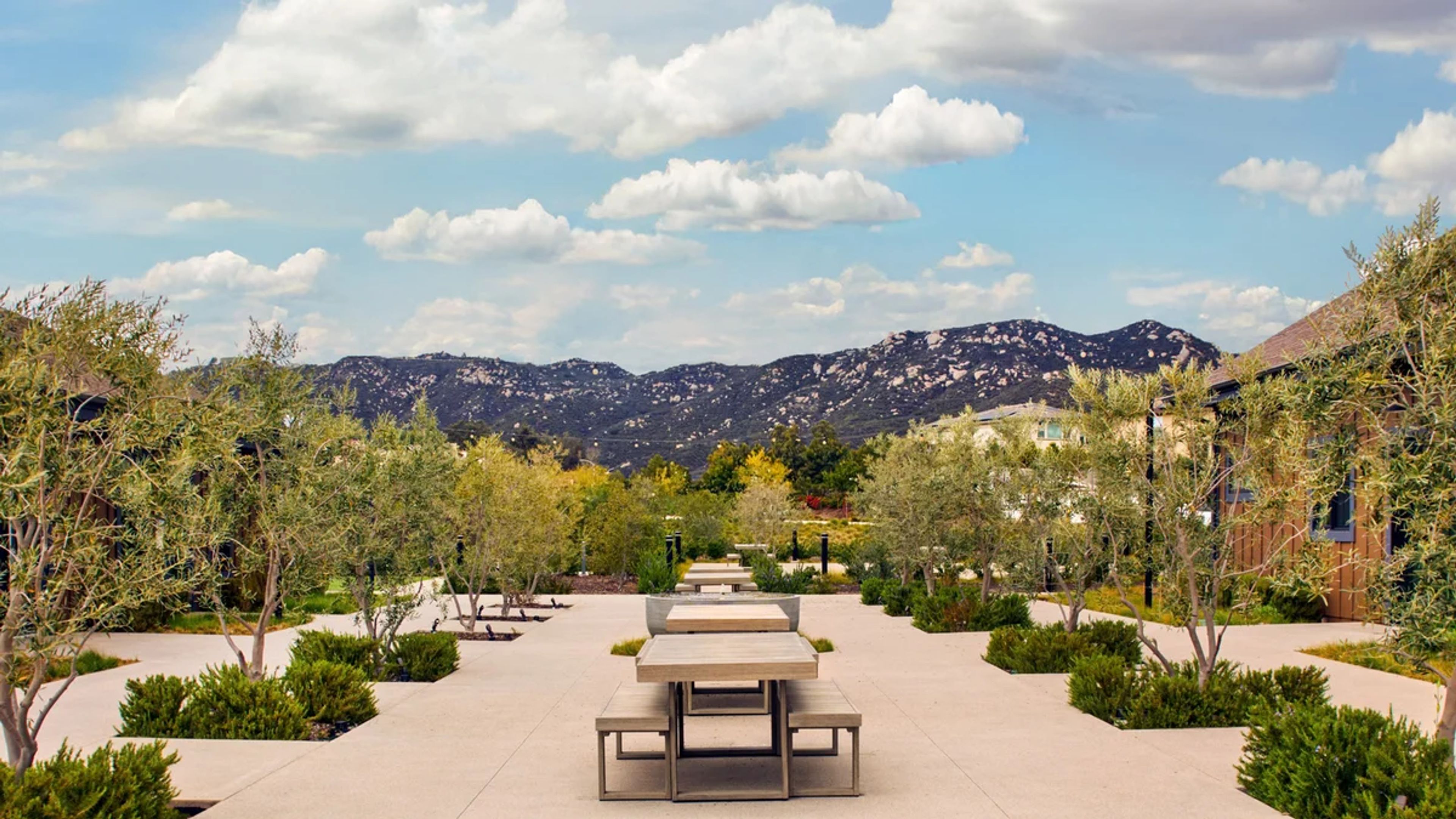 Outdoor Cocktail Garden, an event space at Canopy Grove by Wedgewood Weddings