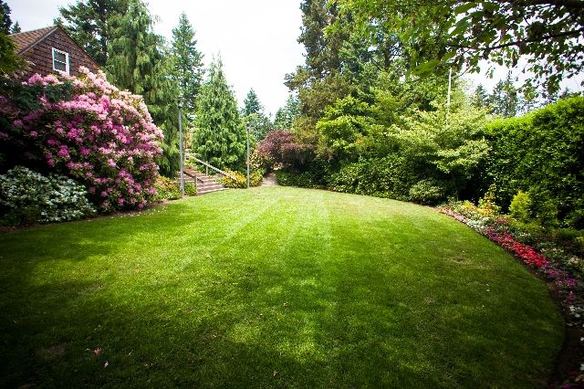 Featured photo from English Garden