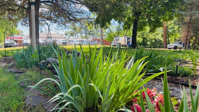 Featured photo from Garden Grounds