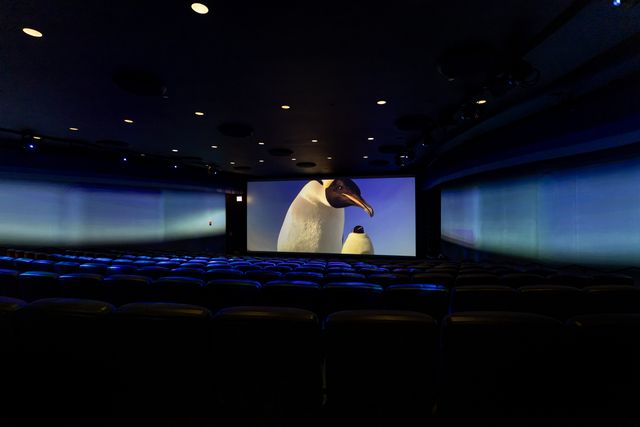 Featured photo from Phelps Auditorium