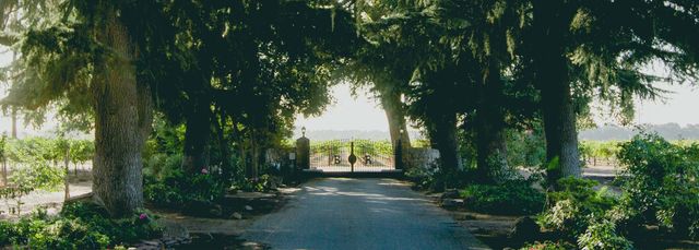 Featured photo from Bare Ranch Grounds