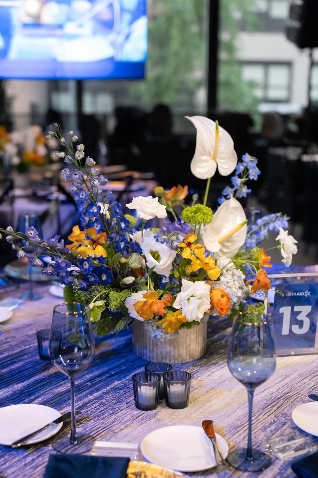 Featured photo from IsraAID Together | NYC Gala