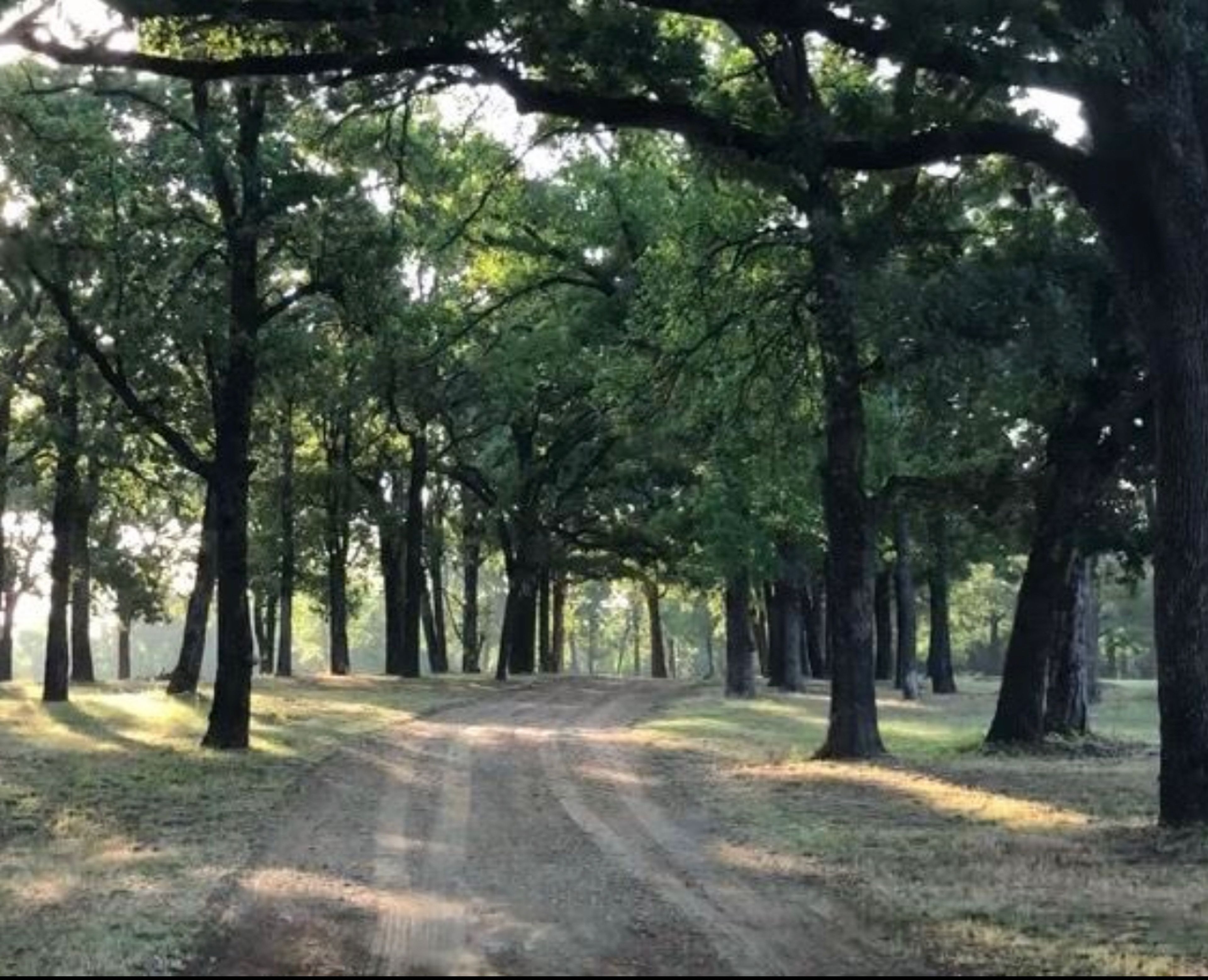 The Grounds, an event space at Vassé Rendezvous