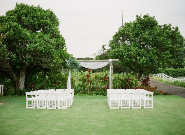 Featured photo from Orange Tree Grove