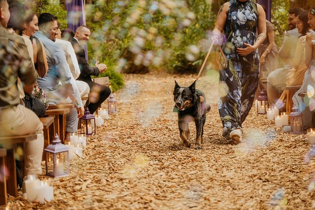 Featured photo from Love Among the Trees at Twin Willow Gardens