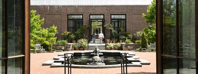 Featured photo from Winter Garden