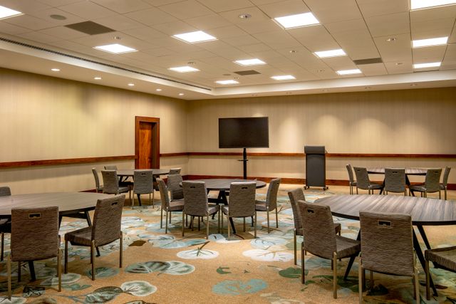 Featured photo from Lewis