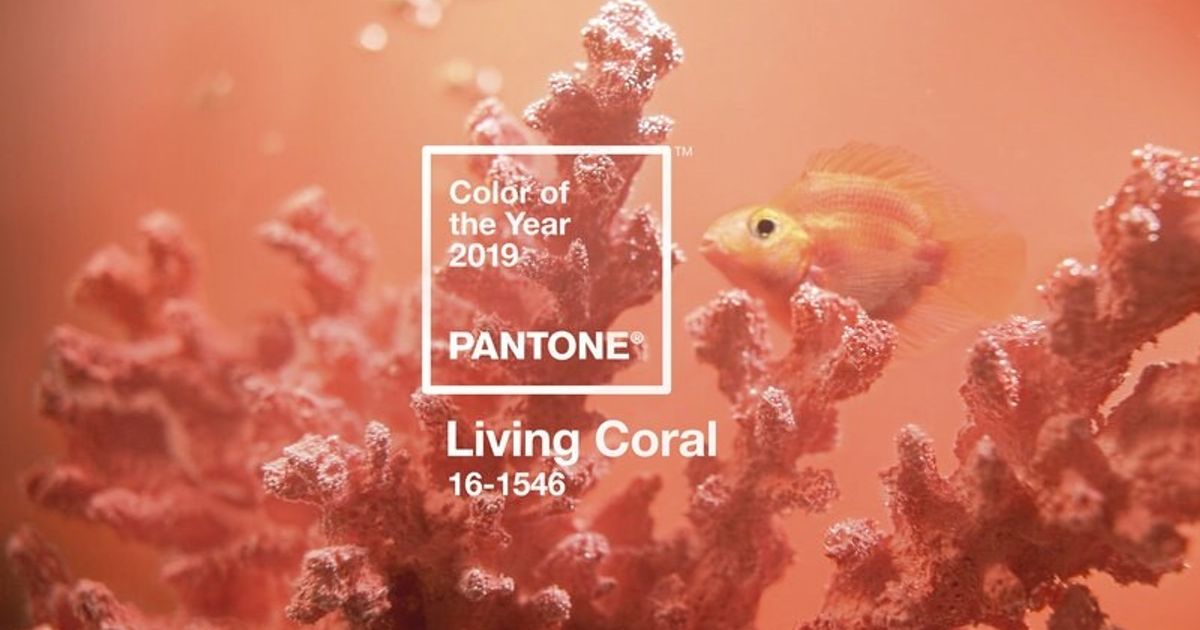 Stunning Celebrations Featuring the Pantone Color of 2019: Living Coral ...